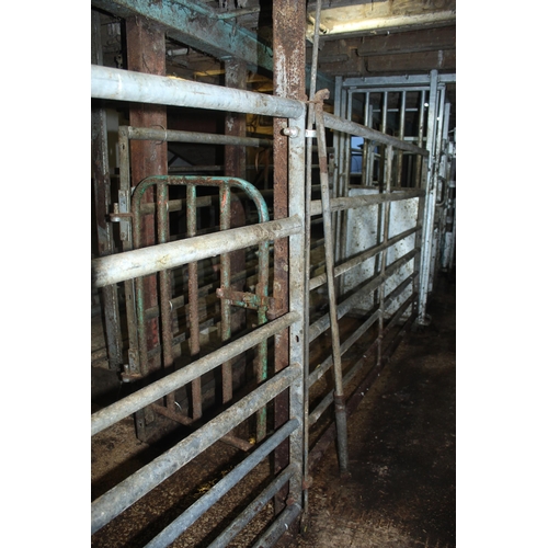 212 - CATTLE RACE & GATE  + VAT