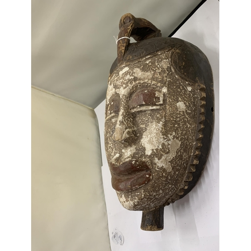 11 - A WEST AFRICAN IGBO TRIBAL MASK FROM NIGERIA