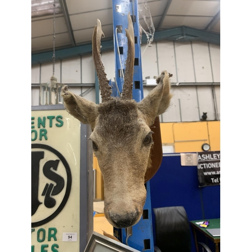 95 - A DEER HEAD ON A WOODEN PLINTH