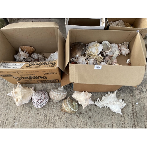 1874 - A LARGE ASSORTMENT OF DECORATIVE SEA SHELLS