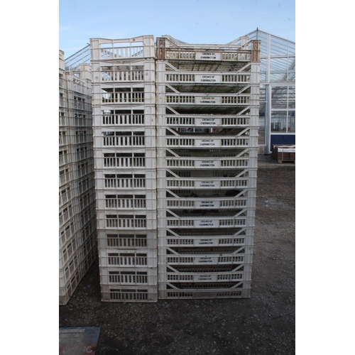 1102 - 64 PLASTIC POTATO BOXES  +  VAT