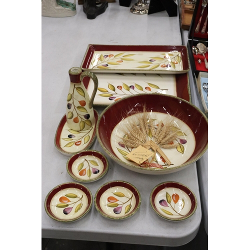 141 - A QUANTITY OF 'MAXWELL WILLIAMS' TABLEWARE TO INCLUDE LARGE SERVING PLATES AND BOWLS, AN OIL BOTTLE,... 