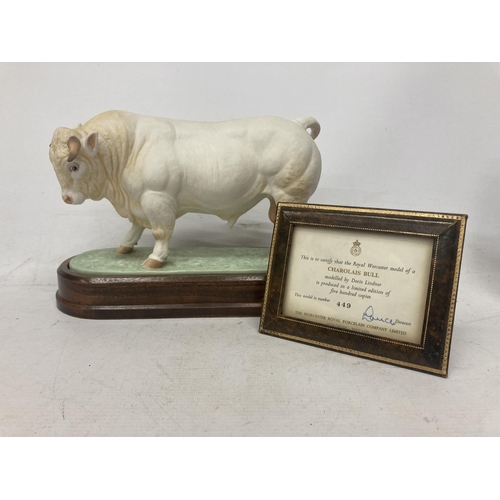 709 - A ROYAL WORCESTER MODEL OF A CHAROLAIS BULL MODELLED BY DORIS LINDNER AND PRODUCED IN A LIMITED EDIT... 