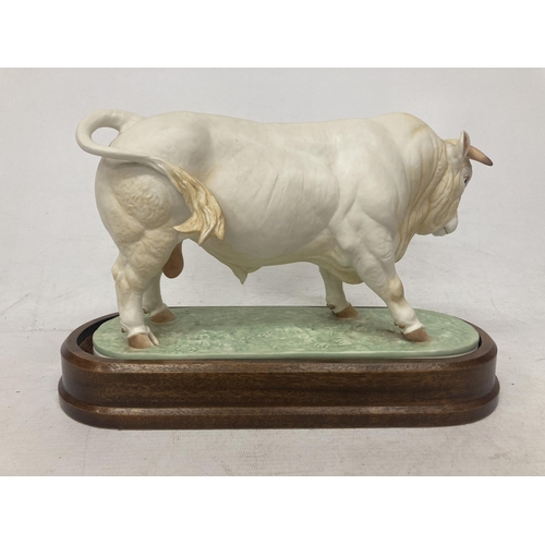 709 - A ROYAL WORCESTER MODEL OF A CHAROLAIS BULL MODELLED BY DORIS LINDNER AND PRODUCED IN A LIMITED EDIT... 