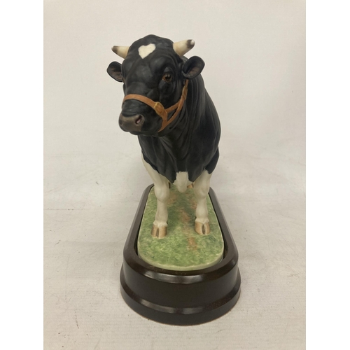 710 - A ROYAL WORCESTER MODEL OF A BRITISH FRESIAN BULL MODELLED BY DORIS LINDNER AND PRODUCED IN A LIMITE... 