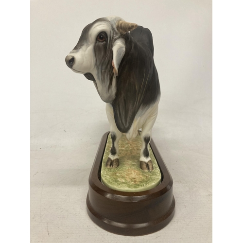 713 - A ROYAL WORCESTER MODEL OF A BRAHMAN BULL MODELLED BY DORIS LINDNER AND PRODUCED IN A LIMITED EDITIO... 