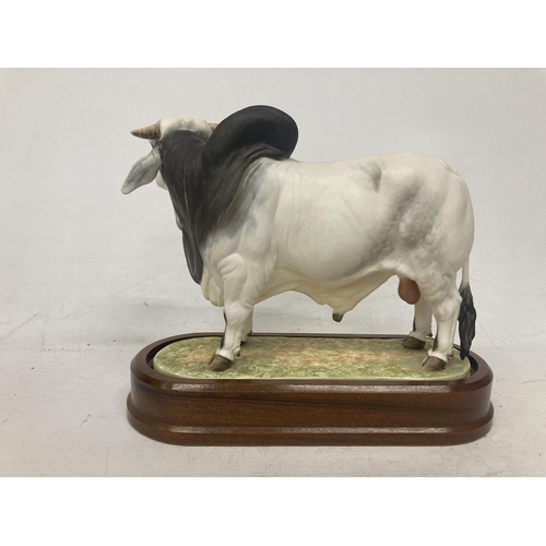 713 - A ROYAL WORCESTER MODEL OF A BRAHMAN BULL MODELLED BY DORIS LINDNER AND PRODUCED IN A LIMITED EDITIO... 