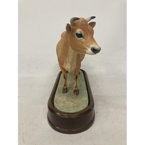 714 - A ROYAL WORCESTER MODEL OF A JERSEY COW MODELLED BY DORIS LINDNER AND PRODUCED IN A LIMITED EDITION ... 