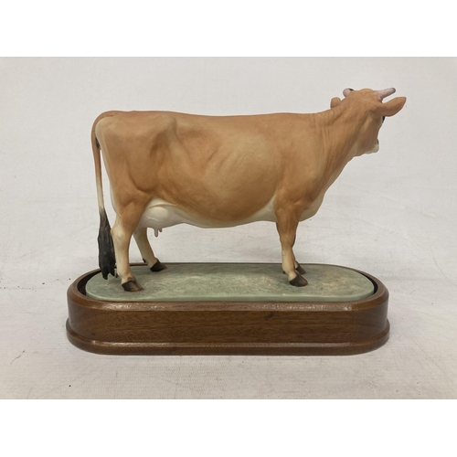 714 - A ROYAL WORCESTER MODEL OF A JERSEY COW MODELLED BY DORIS LINDNER AND PRODUCED IN A LIMITED EDITION ... 