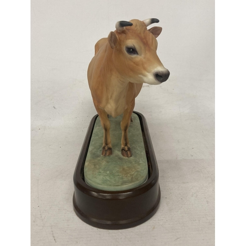 715 - A ROYAL WORCESTER MODEL OF A JERSEY COW MODELLED BY DORIS LINDNER AND PRODUCED IN A LIMITED EDITION ... 