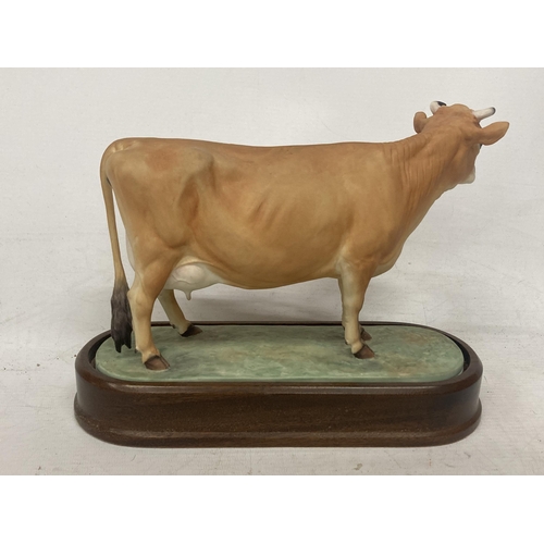 715 - A ROYAL WORCESTER MODEL OF A JERSEY COW MODELLED BY DORIS LINDNER AND PRODUCED IN A LIMITED EDITION ... 