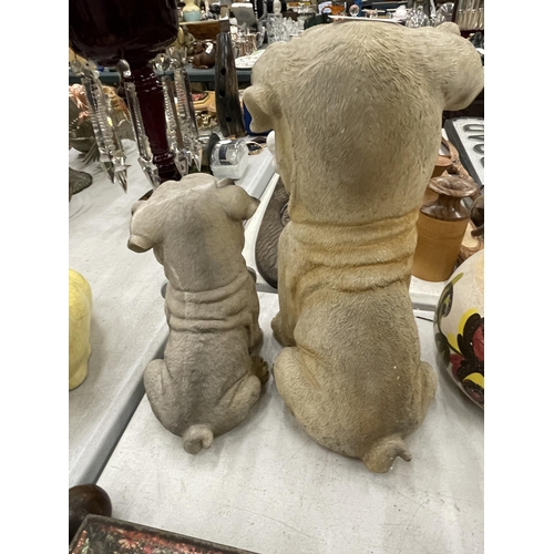 255 - A MUMMY PUG AND PUPPY, 'WELCOME HOME' FIGURES, HEIGHTS 29CM AND 20CM