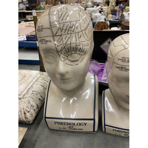 272A - TWO CERAMIC PHRENOLOGY HEADS, HEIGHTS 29CM AND 23CM