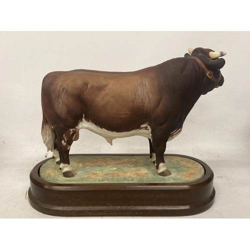 701 - A ROYAL WORCESTER MODEL OF A DAIRY SHORTHORN BULL MODELLED BY DORIS LINDNER PRODUCED IN A LIMITED ED... 