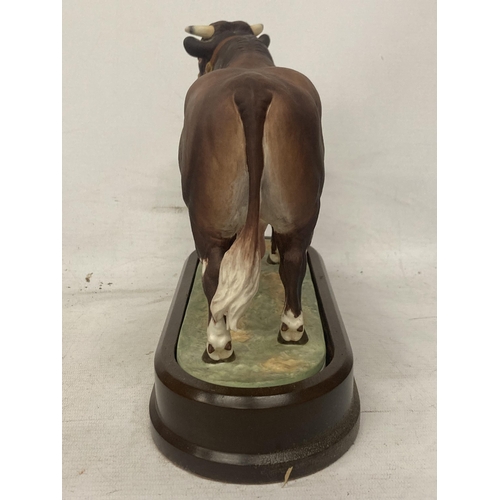 701 - A ROYAL WORCESTER MODEL OF A DAIRY SHORTHORN BULL MODELLED BY DORIS LINDNER PRODUCED IN A LIMITED ED... 