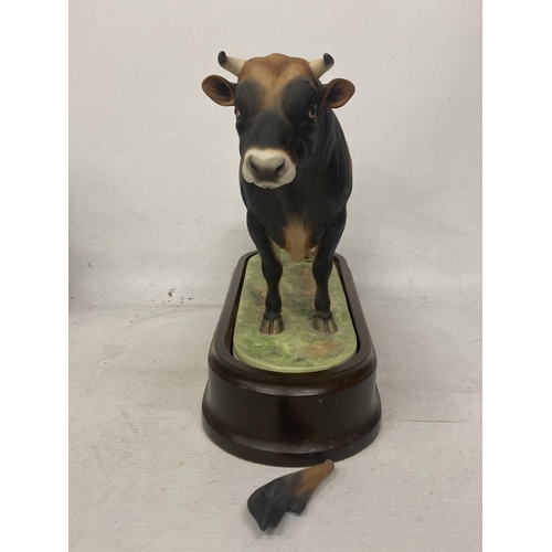 702 - A ROYAL WORCESTER MODEL OF A JERSEY BULL MODELLED BY DORIS LINDNER PRODUCED IN A LIMITED EDITION OF ... 