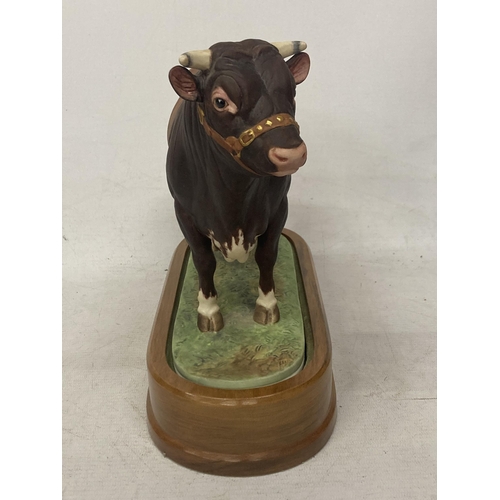 703 - A ROYAL WORCESTER MODEL OF A DAIRY SHORTHORN BULL MODELLED BY DORIS LINDNER PRODUCED IN A LIMITED ED... 