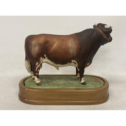 703 - A ROYAL WORCESTER MODEL OF A DAIRY SHORTHORN BULL MODELLED BY DORIS LINDNER PRODUCED IN A LIMITED ED... 