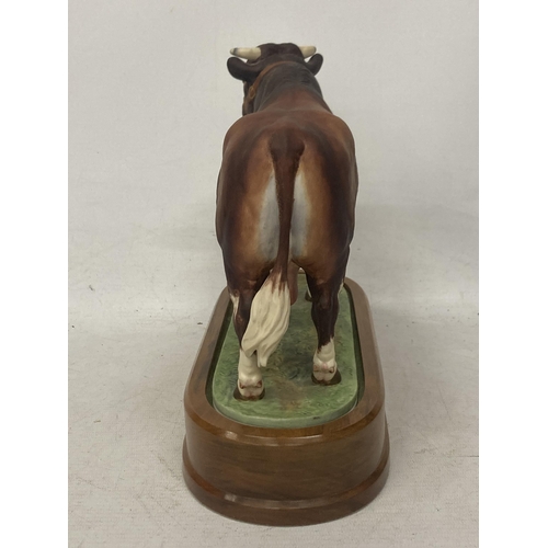 703 - A ROYAL WORCESTER MODEL OF A DAIRY SHORTHORN BULL MODELLED BY DORIS LINDNER PRODUCED IN A LIMITED ED... 