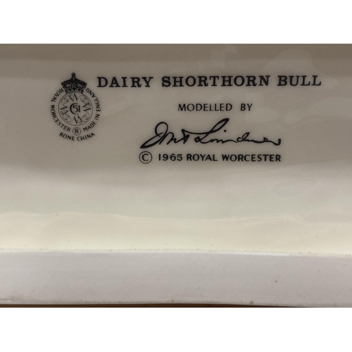 703 - A ROYAL WORCESTER MODEL OF A DAIRY SHORTHORN BULL MODELLED BY DORIS LINDNER PRODUCED IN A LIMITED ED... 