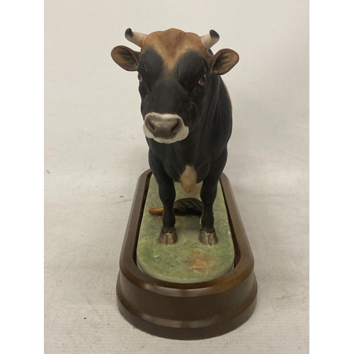 704 - A ROYAL WORCESTER MODEL OF A JERSEY BULL MODELLED BY DORIS LINDNER PRODUCED IN A LIMITED EDITION OF ... 