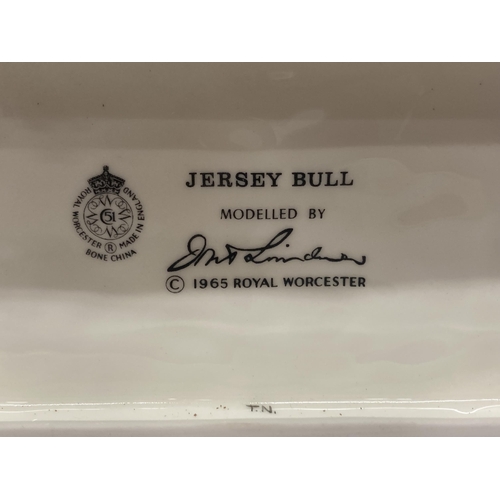 704 - A ROYAL WORCESTER MODEL OF A JERSEY BULL MODELLED BY DORIS LINDNER PRODUCED IN A LIMITED EDITION OF ... 