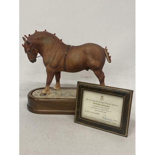 706 - A ROYAL WORCESTER MODEL OF A SUFFOLK STALLION MODELLED BY DORIS LINDNER AND PRODUCED IN A LIMITED ED... 