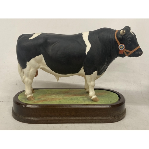 708 - A ROYAL WORCESTER MODEL OF A BRITISH FRESIAN BULL MODELLED BY DORIS LINDNER LIMITED EDITION - NO CER... 