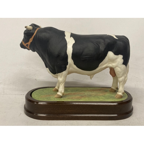 708 - A ROYAL WORCESTER MODEL OF A BRITISH FRESIAN BULL MODELLED BY DORIS LINDNER LIMITED EDITION - NO CER... 