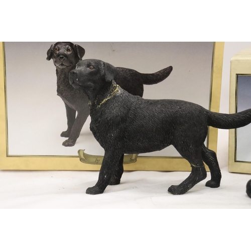 899 - TWO BOXED LEONARDO COLLECTION, LABRADOR DOGS