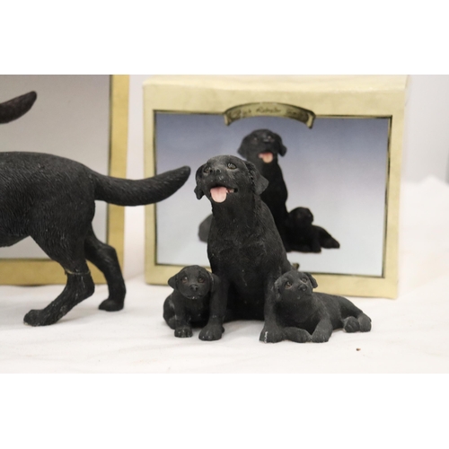 899 - TWO BOXED LEONARDO COLLECTION, LABRADOR DOGS