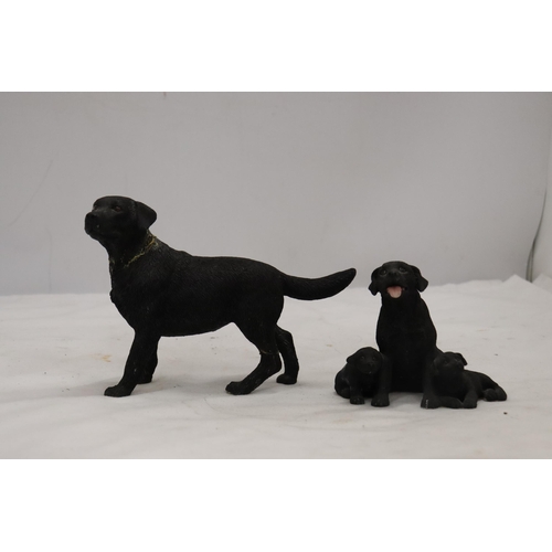 899 - TWO BOXED LEONARDO COLLECTION, LABRADOR DOGS