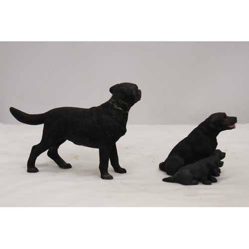 899 - TWO BOXED LEONARDO COLLECTION, LABRADOR DOGS