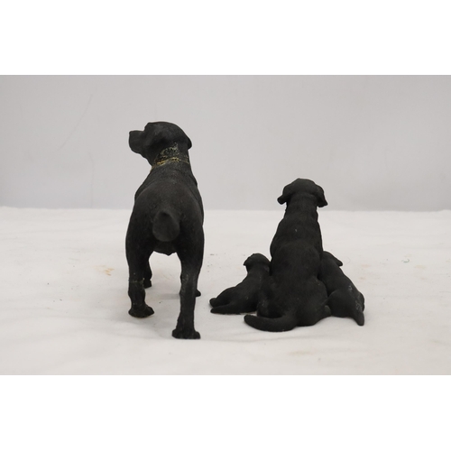 899 - TWO BOXED LEONARDO COLLECTION, LABRADOR DOGS