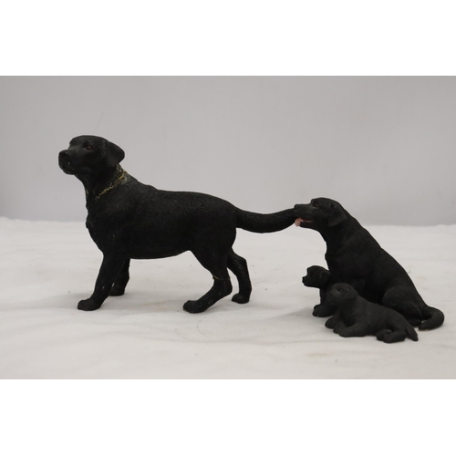 899 - TWO BOXED LEONARDO COLLECTION, LABRADOR DOGS