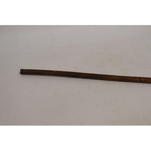 965 - A VINTAGE EDWARDIAN WALKING STICK WITH A HALLMARKED CHESTER COLLAR