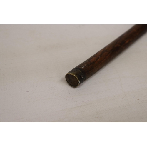 965 - A VINTAGE EDWARDIAN WALKING STICK WITH A HALLMARKED CHESTER COLLAR