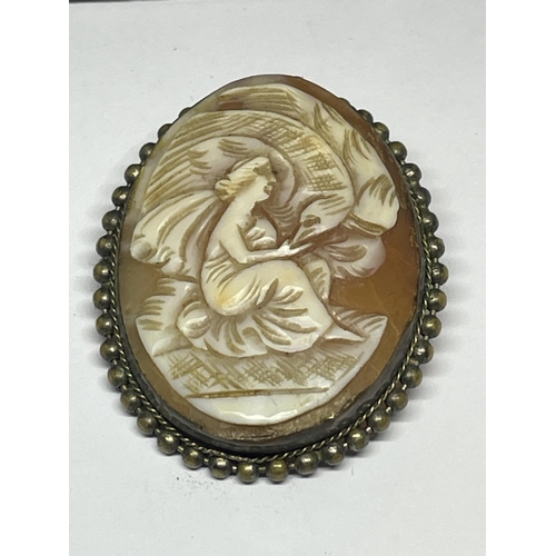 637 - TWO BROOCHES TO INCLUDE A LUSTRE SHELL AND A CAMEO