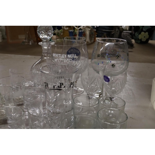 1122 - A QUANTITY OF VARIOUS GLASSWARE TO INCLUDE A DECANTER, GIN GLASSES, TUMBLERS ETC