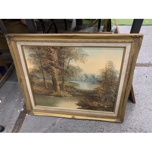 1256 - A GILT FRAMED OIL ON CANVAS OF A WOOD AND RIVER SCENE, 62CM X 52CM