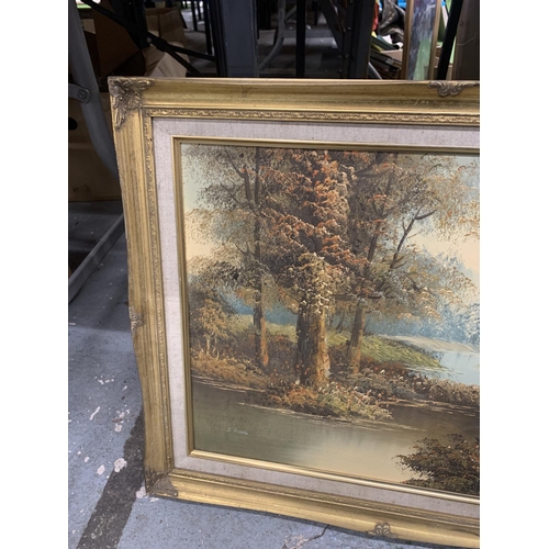 1256 - A GILT FRAMED OIL ON CANVAS OF A WOOD AND RIVER SCENE, 62CM X 52CM