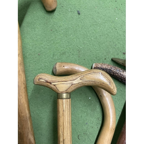 1317 - FIVE VINTAGE WALKING STICKS TO INCLUDE WITH A BRASS DUCK HEAD HANDLE AND A COPPER WARMING PAN