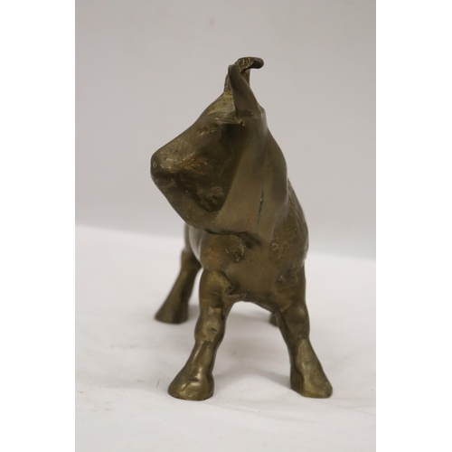 196 - A VERY HEAVY SOLID BRASS GOAT, HEIGHT 16CM, LENGTH 18CM