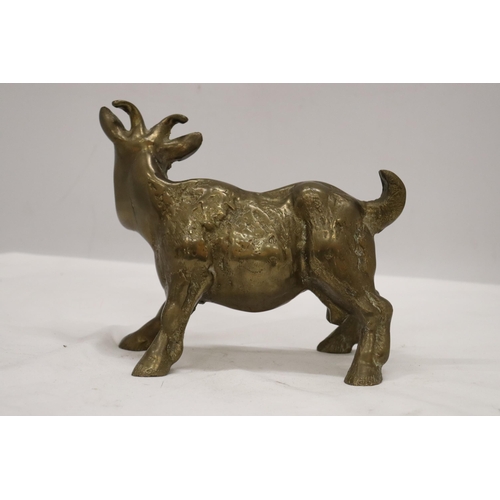 196 - A VERY HEAVY SOLID BRASS GOAT, HEIGHT 16CM, LENGTH 18CM