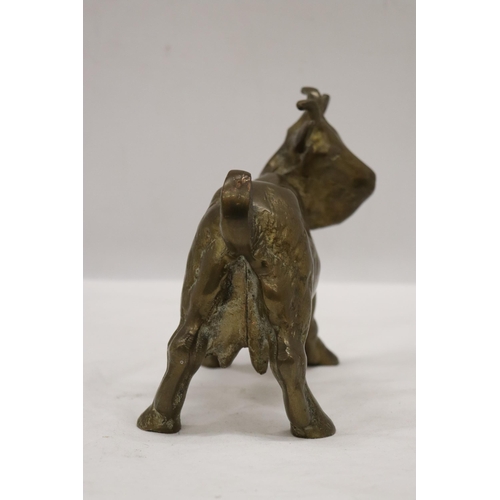 196 - A VERY HEAVY SOLID BRASS GOAT, HEIGHT 16CM, LENGTH 18CM