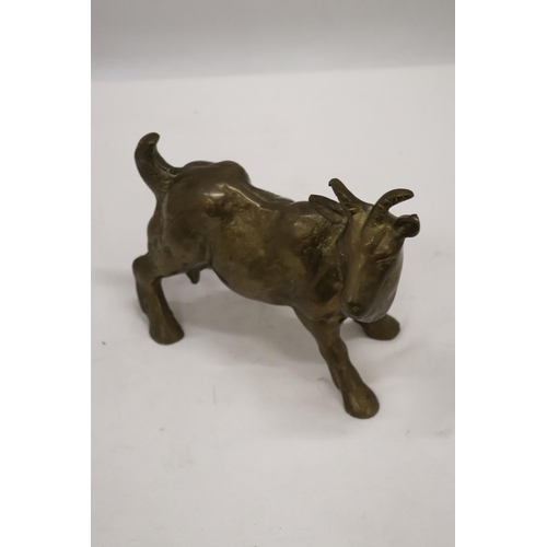 196 - A VERY HEAVY SOLID BRASS GOAT, HEIGHT 16CM, LENGTH 18CM