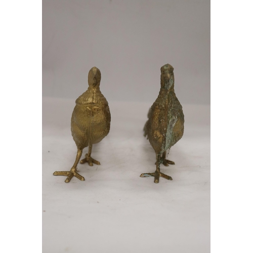 199 - A PAIR OF COCK AND HEN PHEASANTS, HEIGHT 12CM, LENGTH 28CM