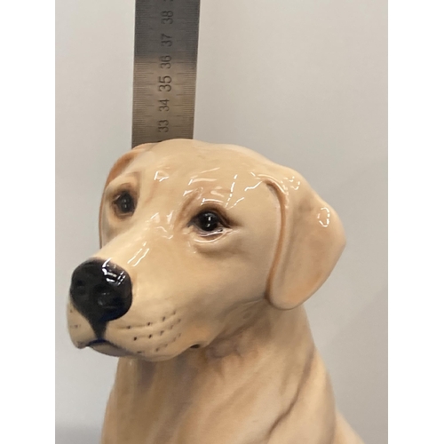 48 - A LARGE BESWICK FIRESIDE GOLDEN LABRADOR NO 2314 APPROX 32CM TALL