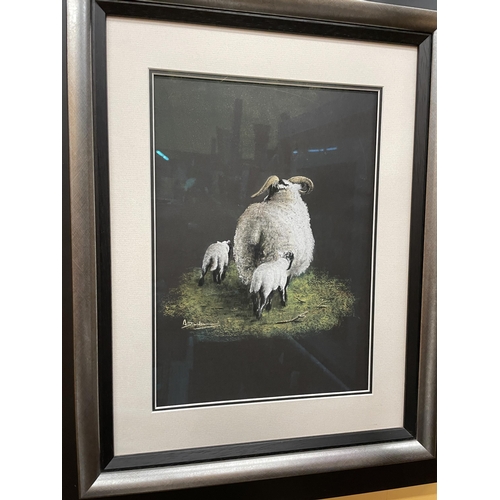 46 - TWO FRAMED AND GLAZED PASTELS OF SCOTTISH BLACK FACE EWES ONE WITH A SINGLE LAMB AT FOOT AND ONE WIT... 