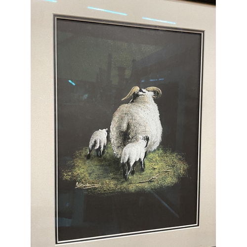 46 - TWO FRAMED AND GLAZED PASTELS OF SCOTTISH BLACK FACE EWES ONE WITH A SINGLE LAMB AT FOOT AND ONE WIT... 